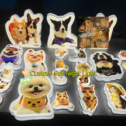 Custom Pet LED Night Light from Photo | Wireless Rechargeable Acrylic Dog/Cat Lamp | Personalized Pet Portrait Light | Pet Lover Gift