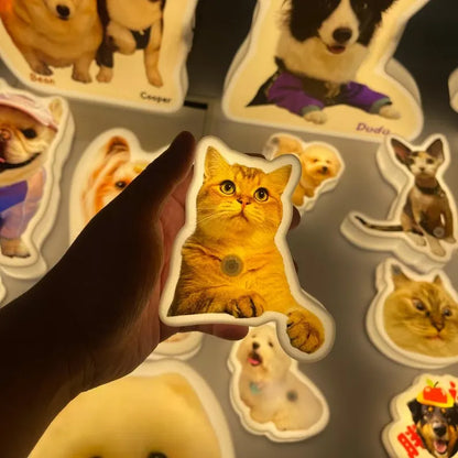 Custom Pet LED Night Light from Photo | Wireless Rechargeable Acrylic Dog/Cat Lamp | Personalized Pet Portrait Light | Pet Lover Gift