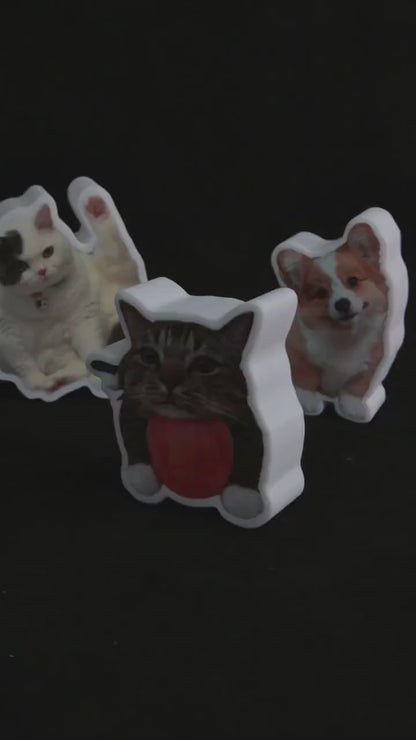 Custom Pet LED Night Light from Photo | Wireless Rechargeable Acrylic Dog/Cat Lamp | Personalized Pet Portrait Light | Pet Lover Gift